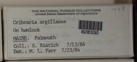 Image Associated With the Occurence
